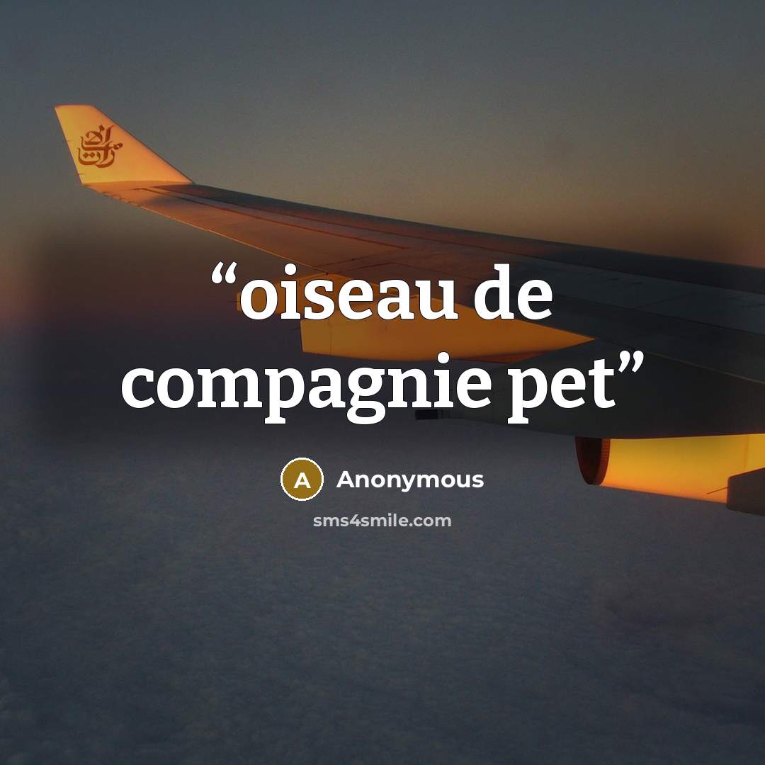 “oiseau de compagnie pet” quote by Anonymous
