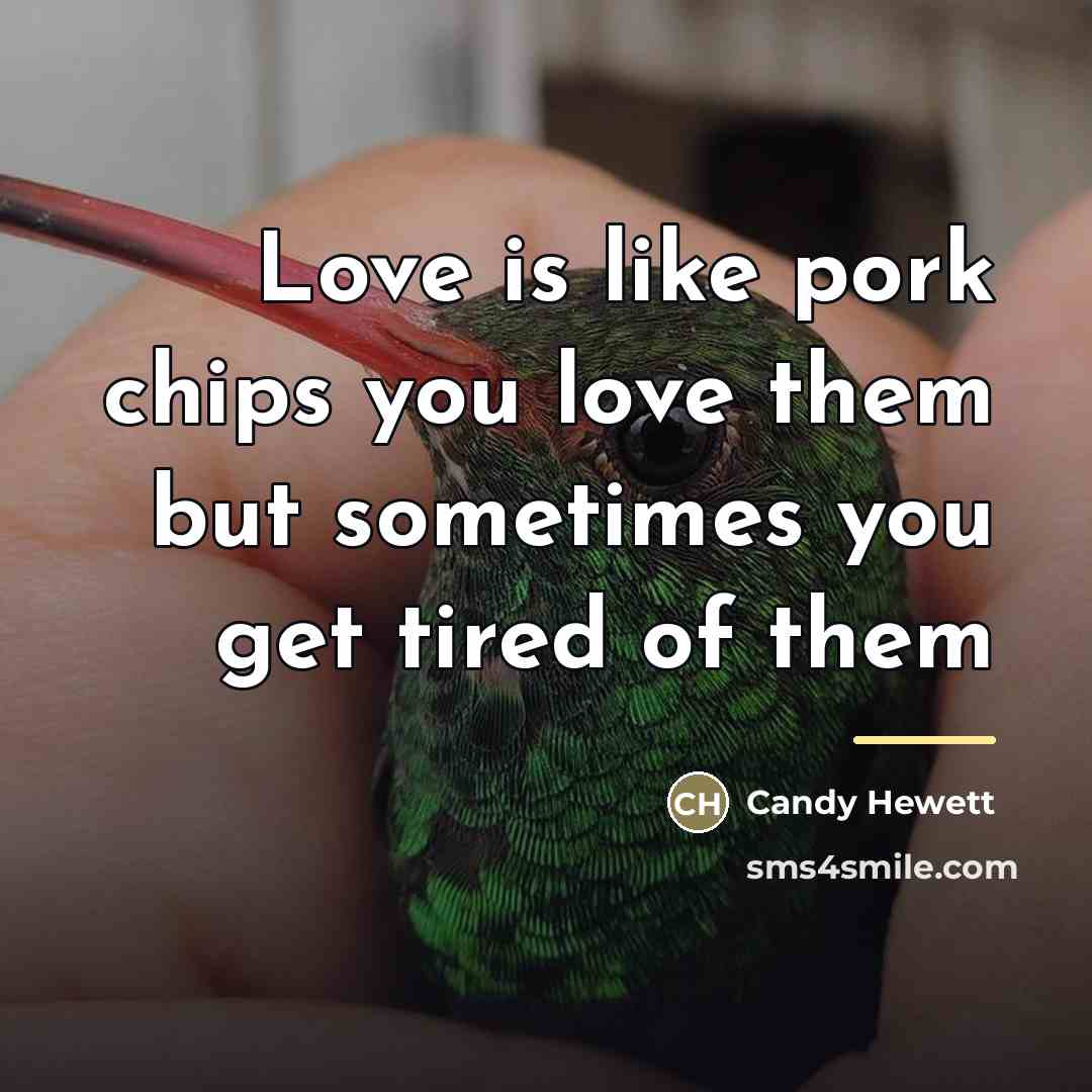 “Love is like pork chips you love them but sometimes…” quote by Candy Hewett