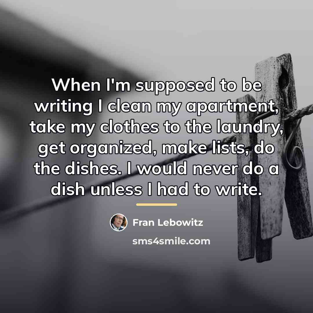 “When I'm supposed to be writing I clean my apartment,…” quote by Fran Lebowitz