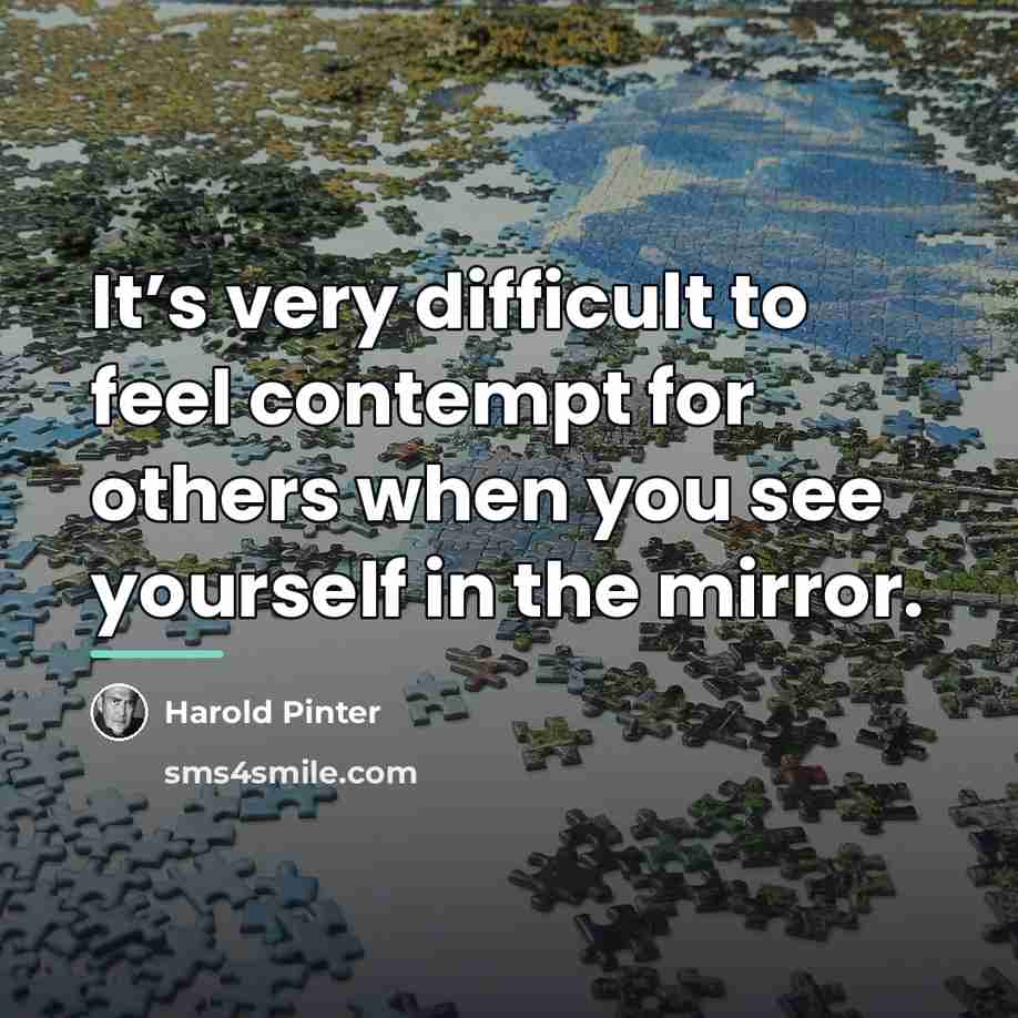 “It’s very difficult to feel contempt for others when you…” quote by Harold Pinter