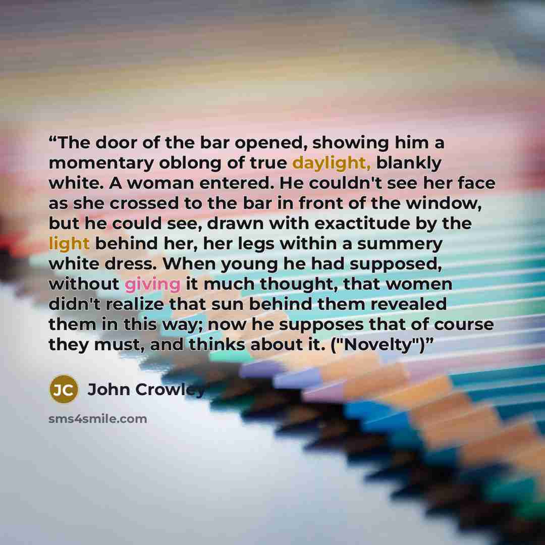 “The door of the bar opened, showing him a momentary oblong of true daylight, blankly white. A woman entered. He couldn't see her face as she crossed to the bar in front of the window, but he could see, drawn with exactitude by the light behind her, her legs within a summery white dress. When young…” quote by John Crowley