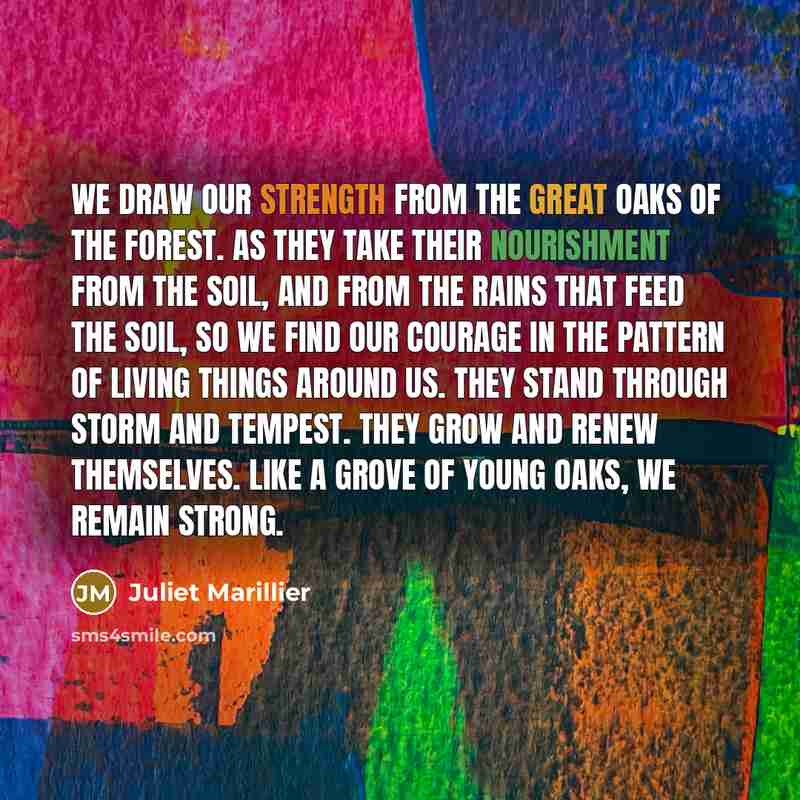 “We draw our strength from the great oaks of the…” quote by Juliet Marillier