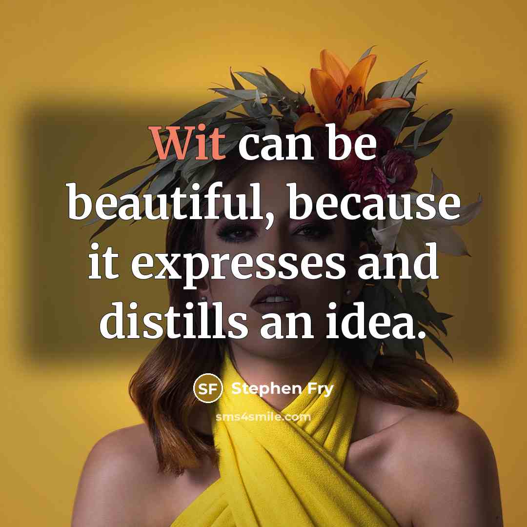 “Wit can be beautiful, because it expresses and distills an…” quote by Stephen Fry