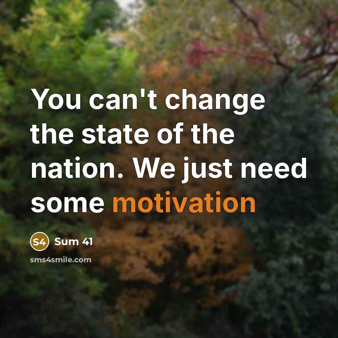 “You can't change the state of the nation. We just…” quote by Sum 41