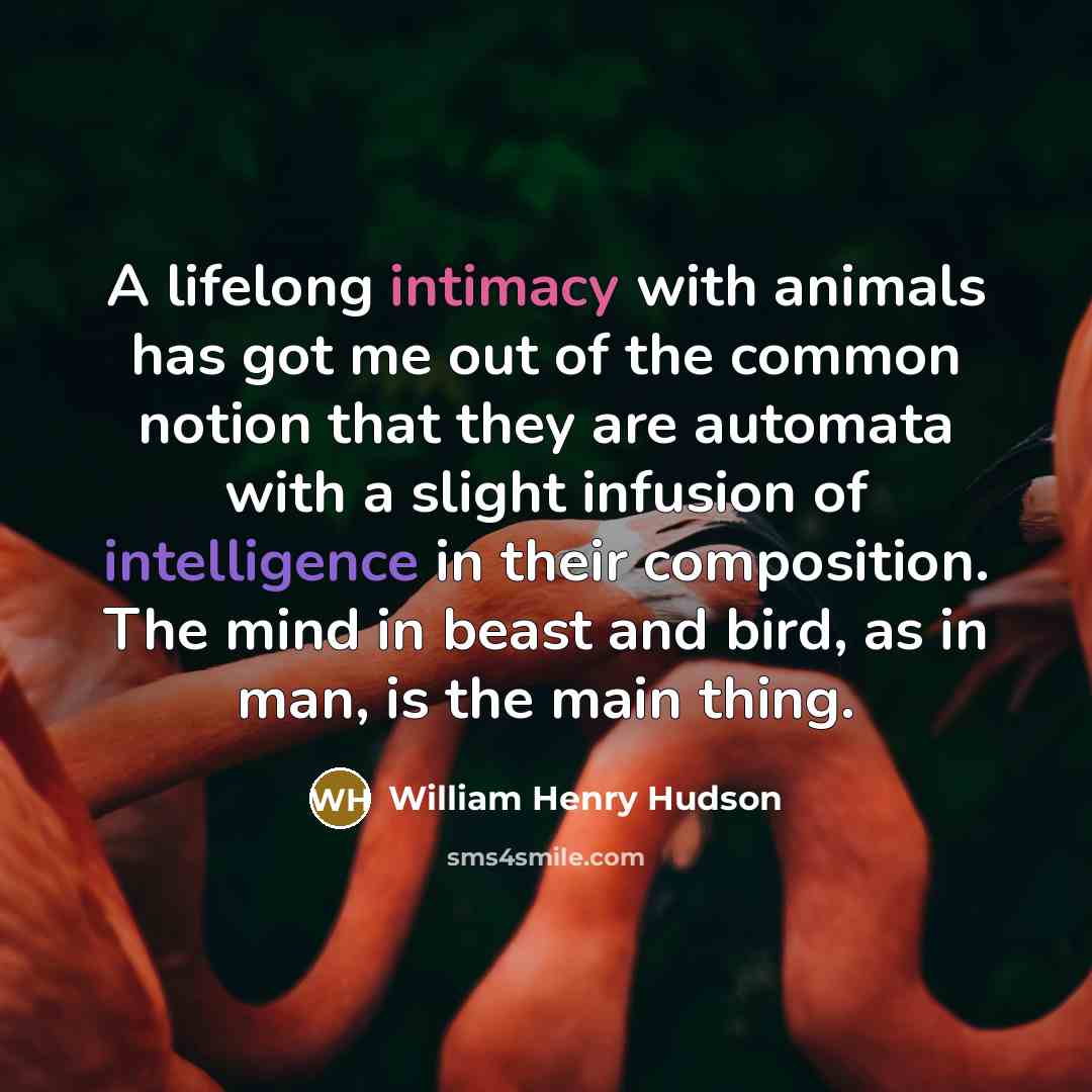 “A lifelong intimacy with animals has got me out of…” quote by William Henry Hudson