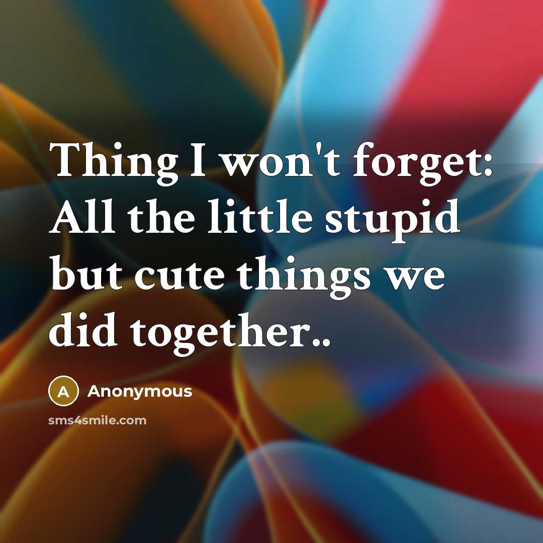 “Thing I won't forget: All the little stupid but cute…” quote by Anonymous