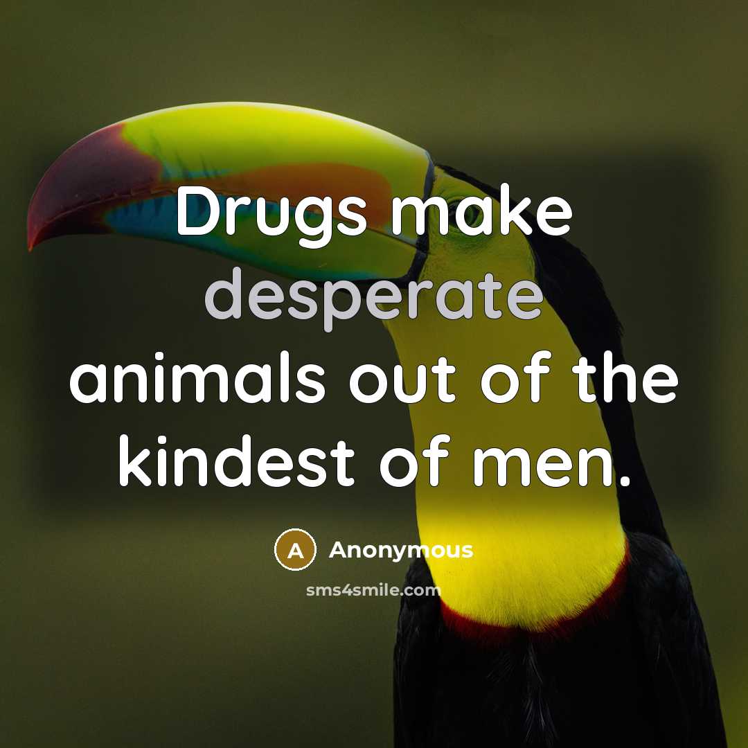 “Drugs make desperate animals out of the kindest of men.” quote by Anonymous