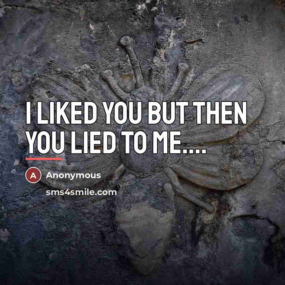 “I liked you but then you lied to me....…” quote by Anonymous