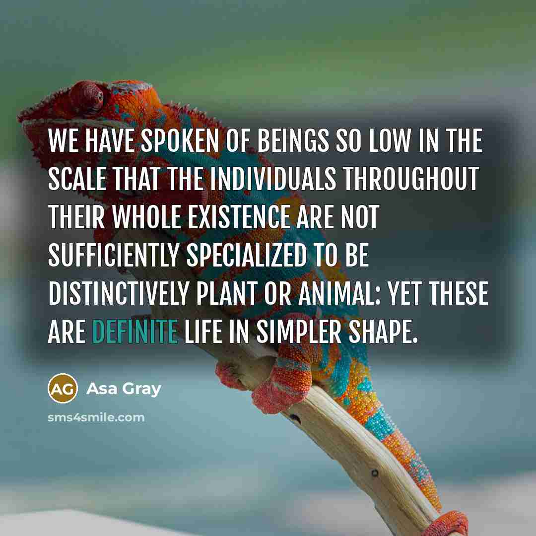 “We have spoken of beings so low in the scale…” quote by Asa Gray