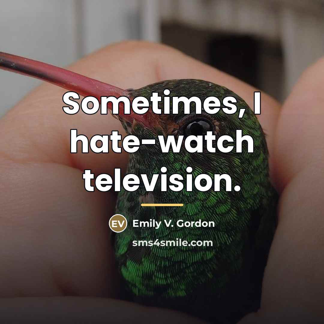 “Sometimes, I hate-watch television.…” quote by Emily V. Gordon
