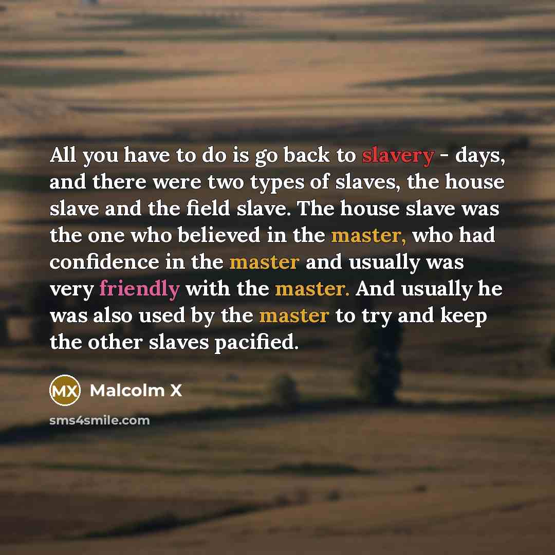 “All you have to do is go back to slavery…” quote by Malcolm X