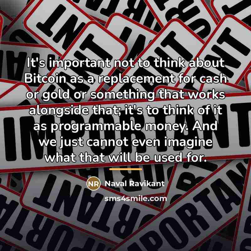 “It's important not to think about Bitcoin as a replacement…” quote by Naval Ravikant
