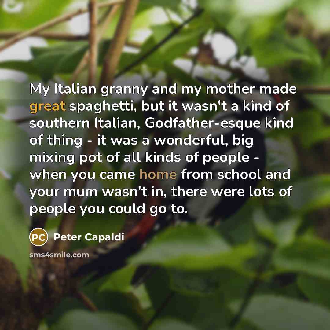 “My Italian granny and my mother made great spaghetti, but…” quote by Peter Capaldi