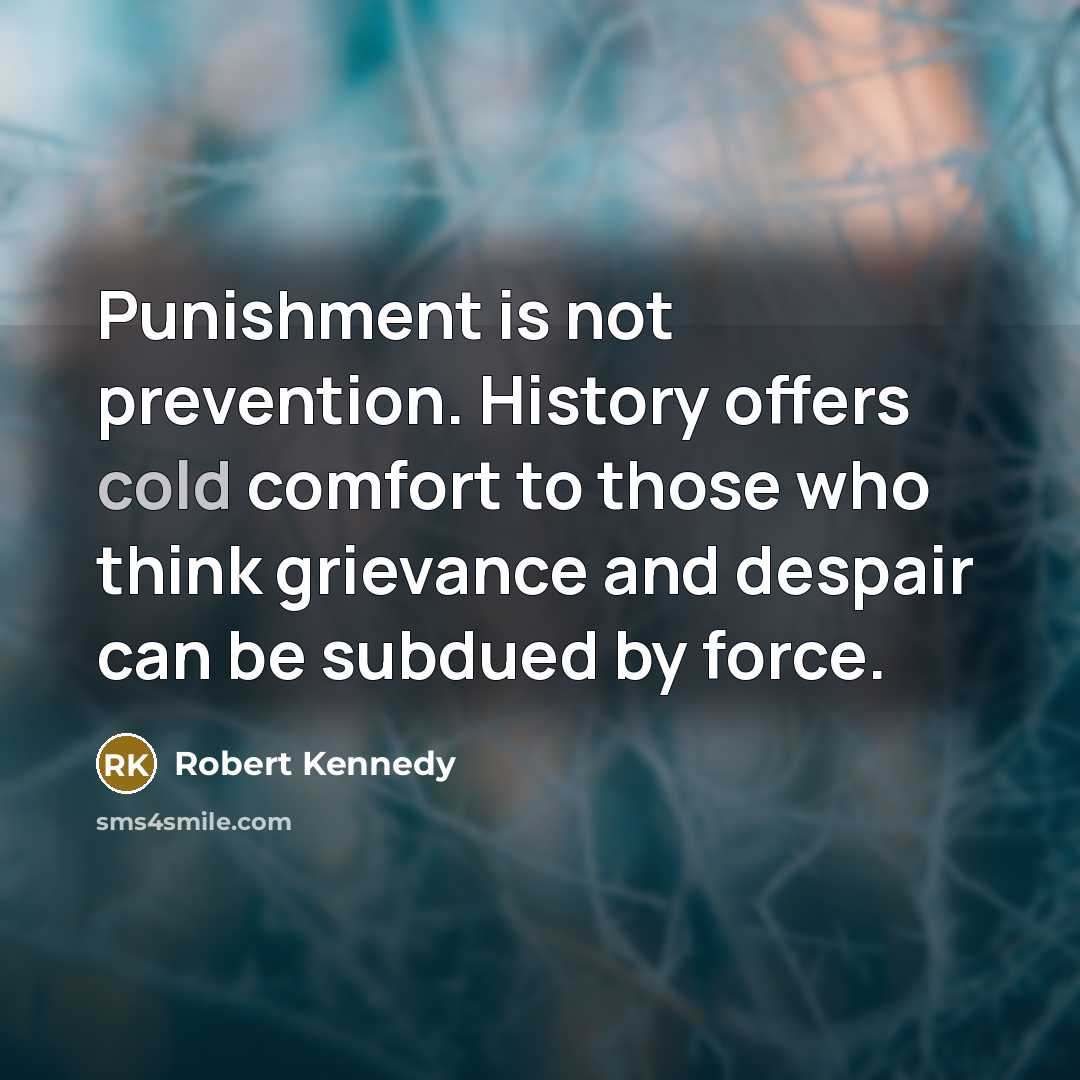 “Punishment is not prevention. History offers cold comfort to those…” quote by Robert Kennedy