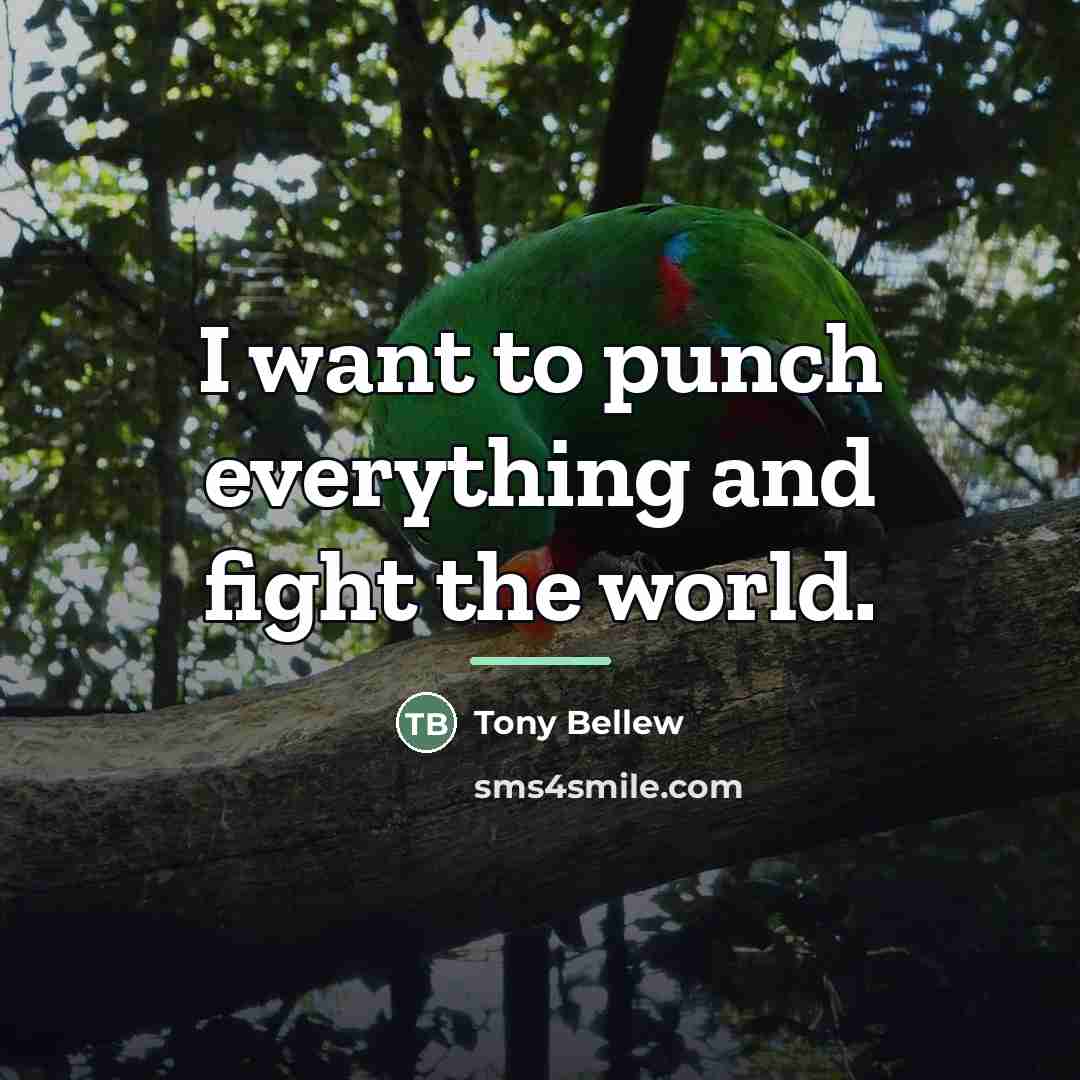 “I want to punch everything and fight the world.…” quote by Tony Bellew
