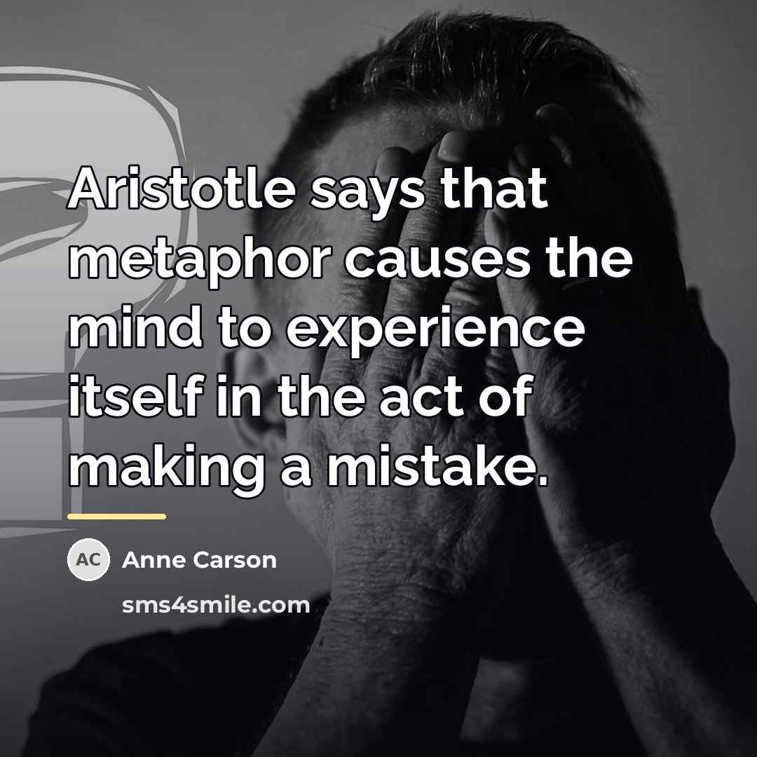 “Aristotle says that metaphor causes the mind to experience itself…” quote by Anne Carson