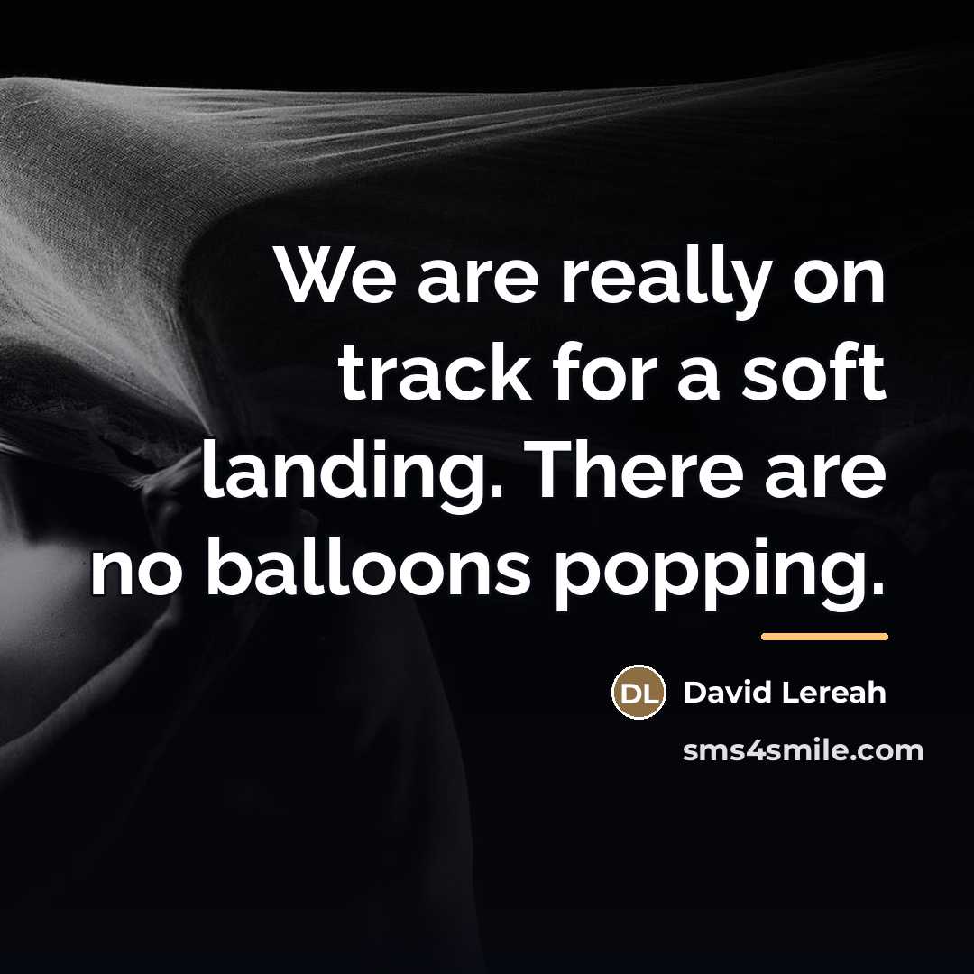 “We are really on track for a soft landing. There…” quote by David Lereah
