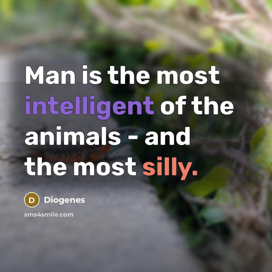 “Man is the most intelligent of the animals - and the most silly.” quote by Diogenes