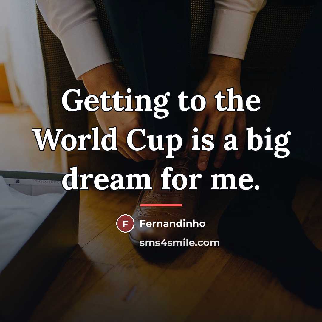 “Getting to the World Cup is a big dream for…” quote by Fernandinho
