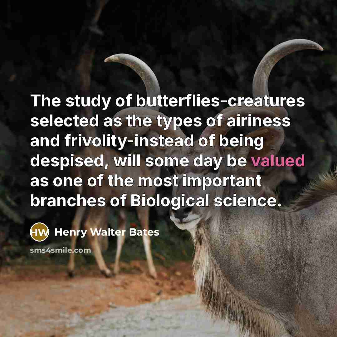 “The study of butterflies-creatures selected as the types of airiness…” quote by Henry Walter Bates