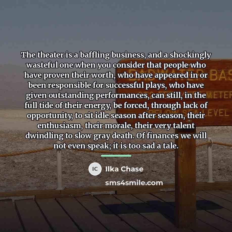 “The theater is a baffling business, and a shockingly wasteful…” quote by Ilka Chase