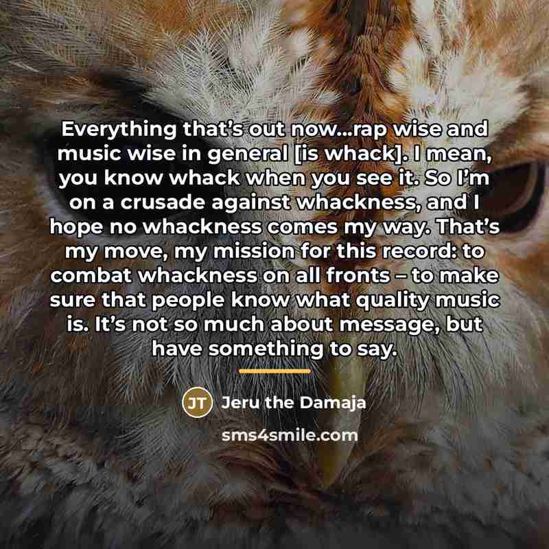 “Everything that’s out now…rap wise and music wise in general…” quote by Jeru the Damaja