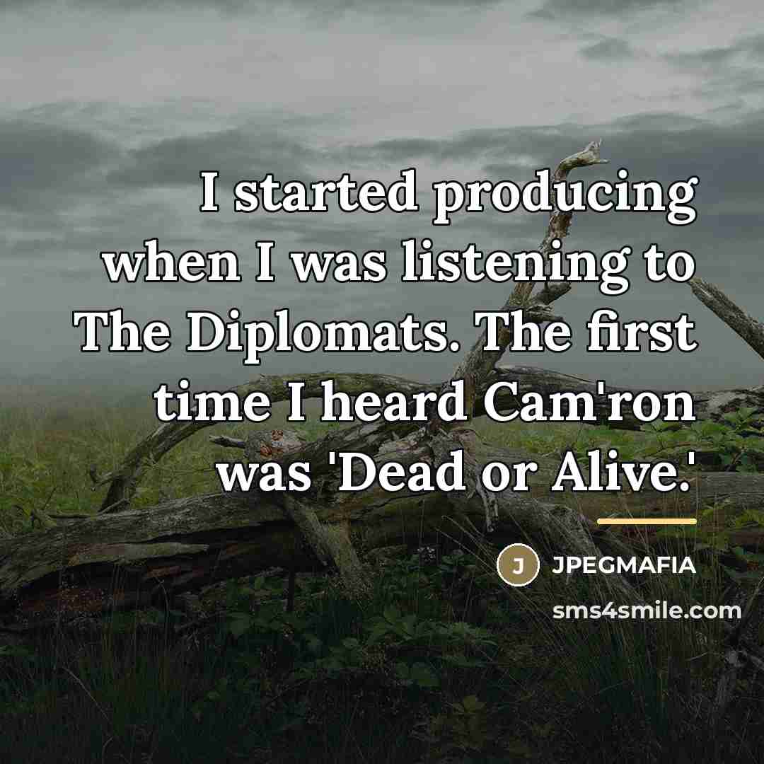 “I started producing when I was listening to The Diplomats.…” quote by JPEGMAFIA