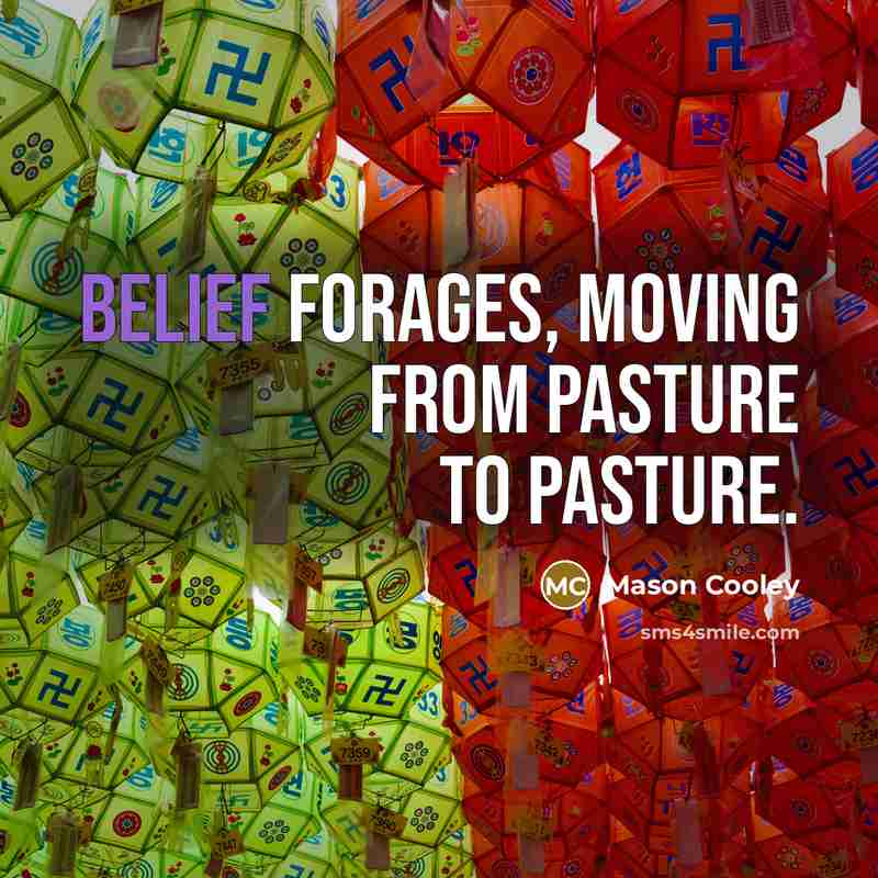 “Belief forages, moving from pasture to pasture.…” quote by Mason Cooley