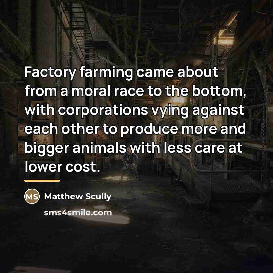 “Factory farming came about from a moral race to the…” quote by Matthew Scully