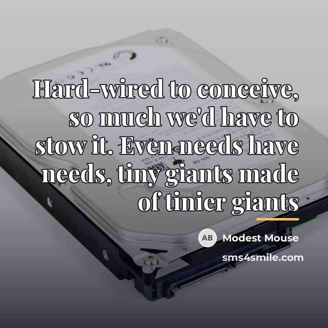“Hard-wired to conceive, so much we'd have to stow it.…” quote by Modest Mouse