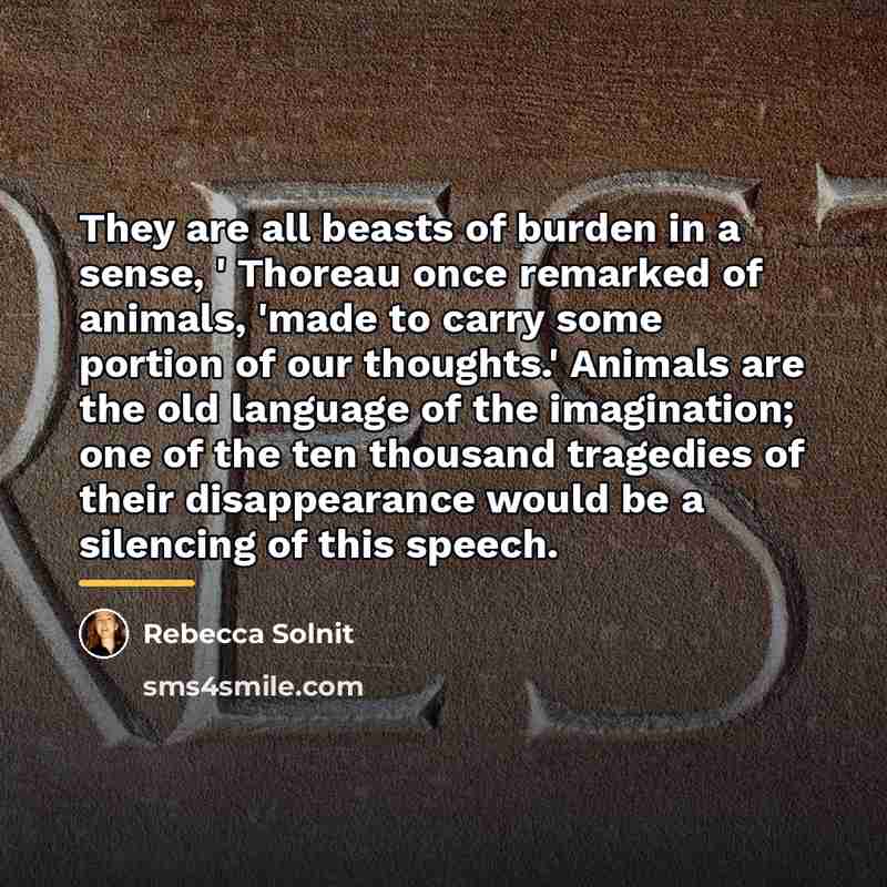 “They are all beasts of burden in a sense, '…” quote by Rebecca Solnit