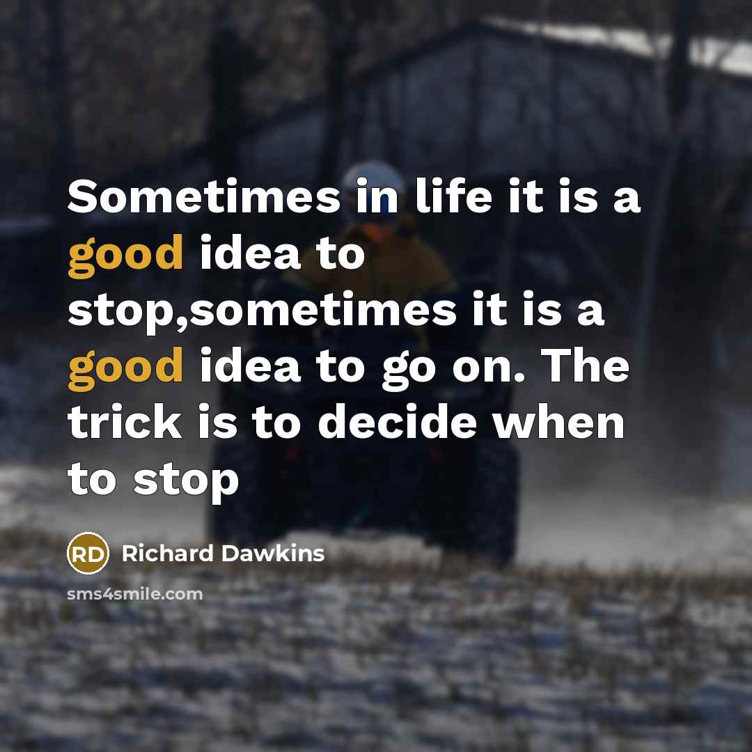 “Sometimes in life it is a good idea to stop,sometimes it is a good idea to go on. The trick is to decide when to stop” quote by Richard Dawkins