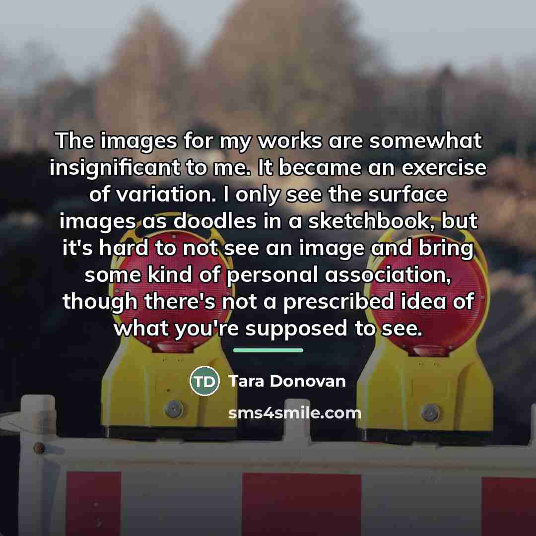 “The images for my works are somewhat insignificant to me.…” quote by Tara Donovan