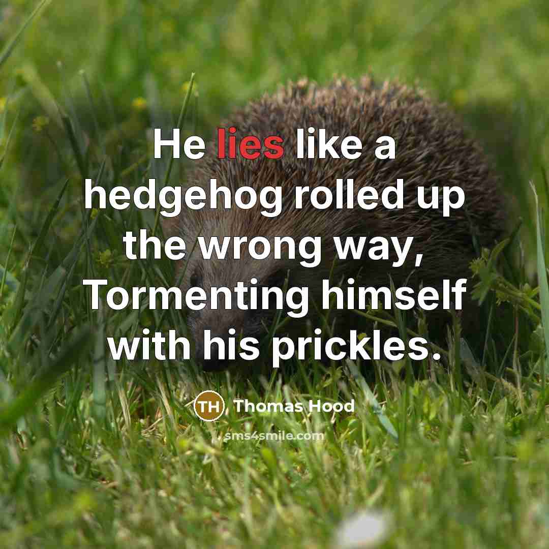 “He lies like a hedgehog rolled up the wrong way,…” quote by Thomas Hood