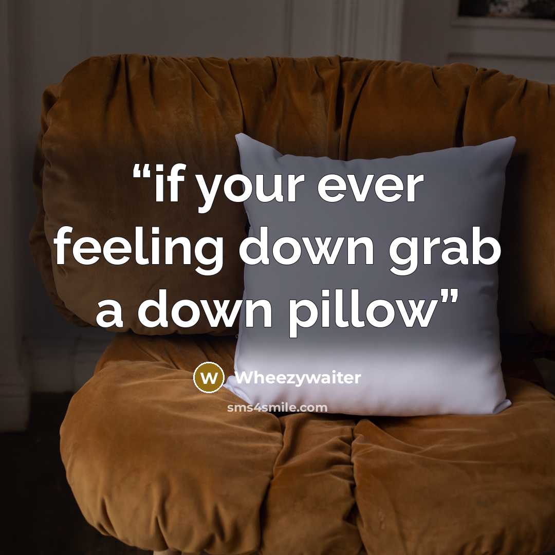 “if your ever feeling down grab a down pillow” quote by wheezywaiter