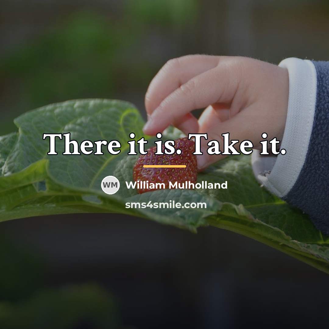 “There it is. Take it.…” quote by William Mulholland