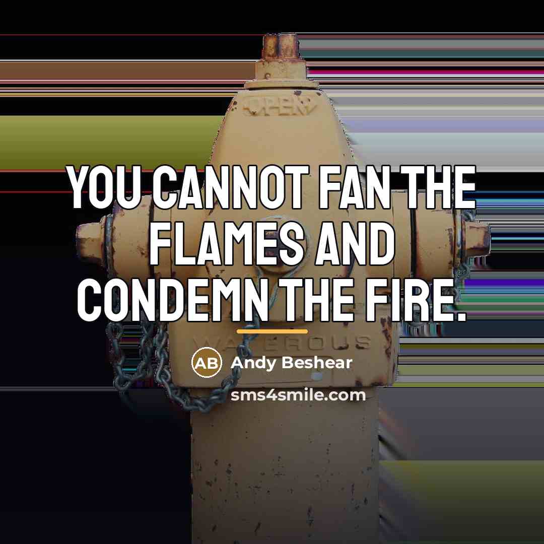 “You cannot fan the flames and condemn the fire.…” quote by Andy Beshear