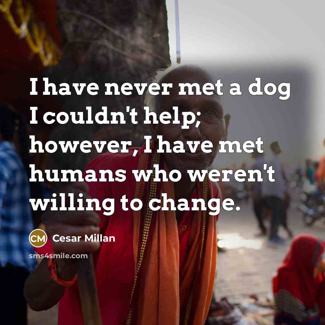 “I have never met a dog I couldn't help; however,…” quote by Cesar Millan