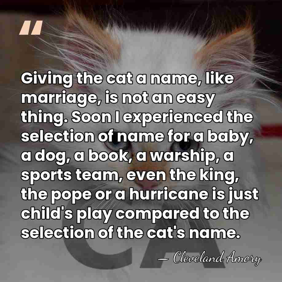 Giving the cat a name, like marriage, is not an easy thing.&hellip; - Cleveland Amory