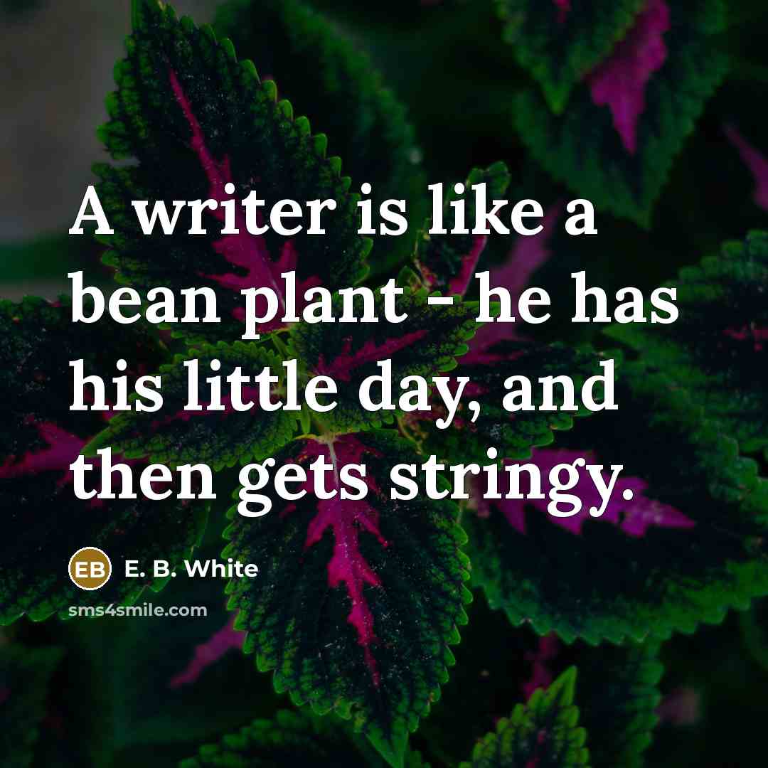 “A writer is like a bean plant - he has…” quote by E. B. White
