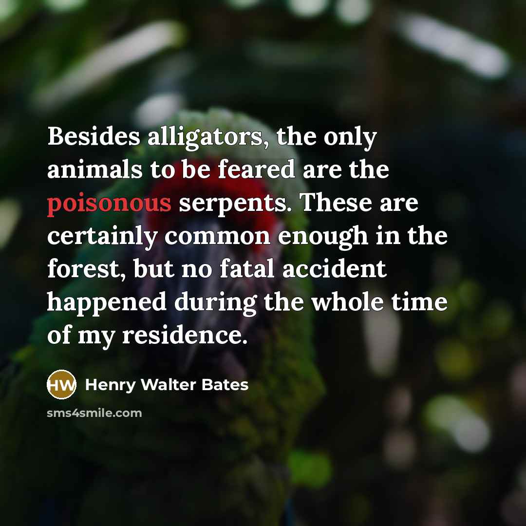 “Besides alligators, the only animals to be feared are the…” quote by Henry Walter Bates