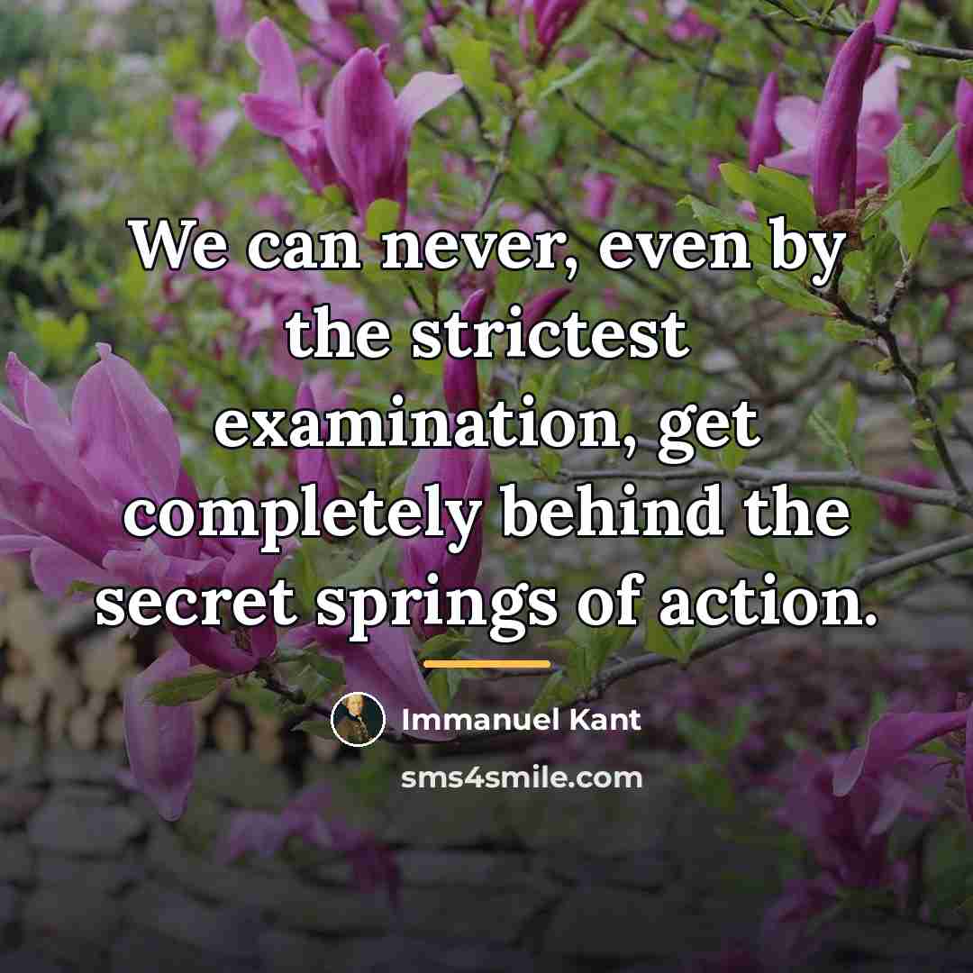 “We can never, even by the strictest examination, get completely…” quote by Immanuel Kant