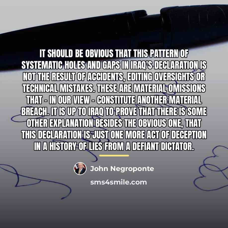 “It should be obvious that this pattern of systematic holes…” quote by John Negroponte