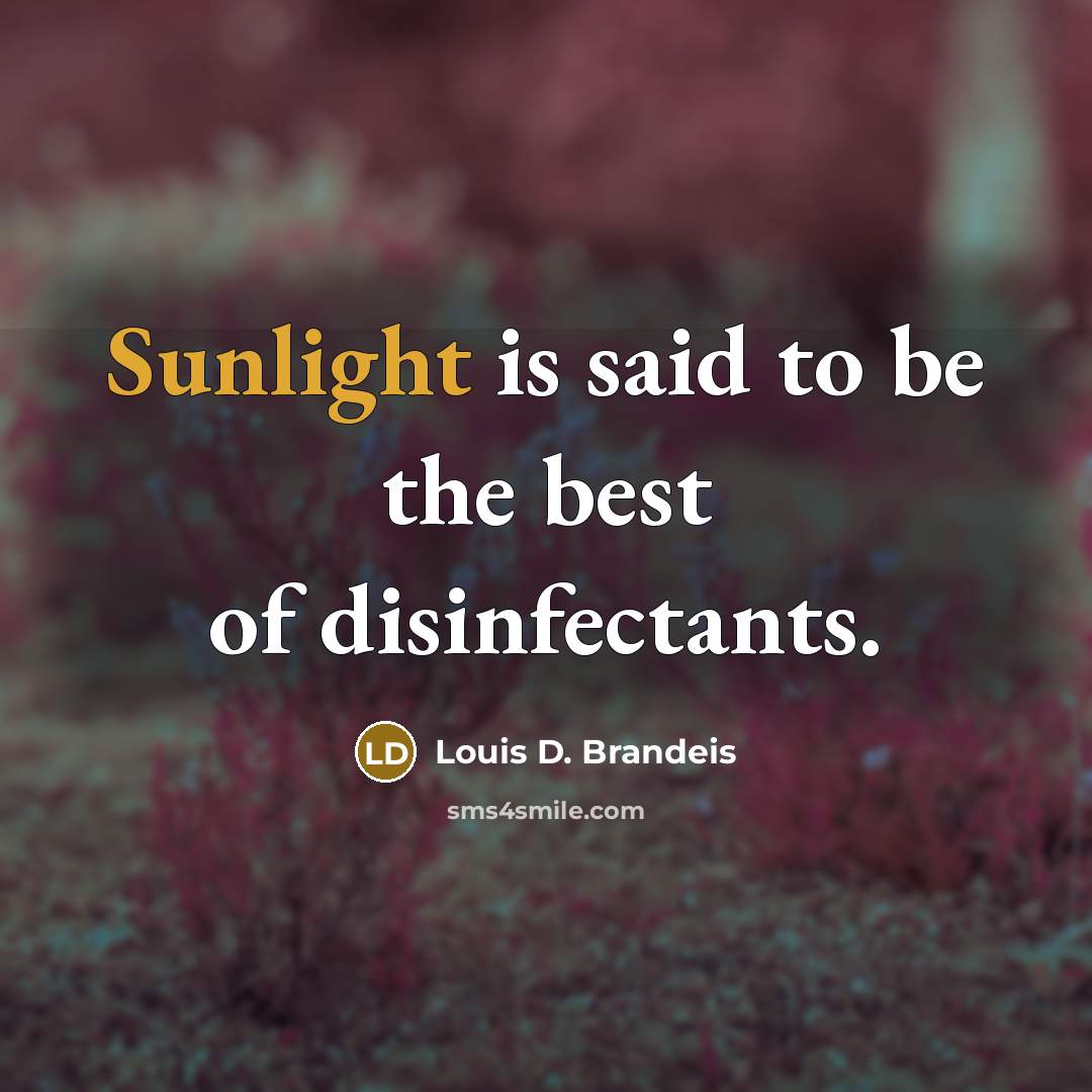 “Sunlight is said to be the best of disinfectants.…” quote by Louis D. Brandeis