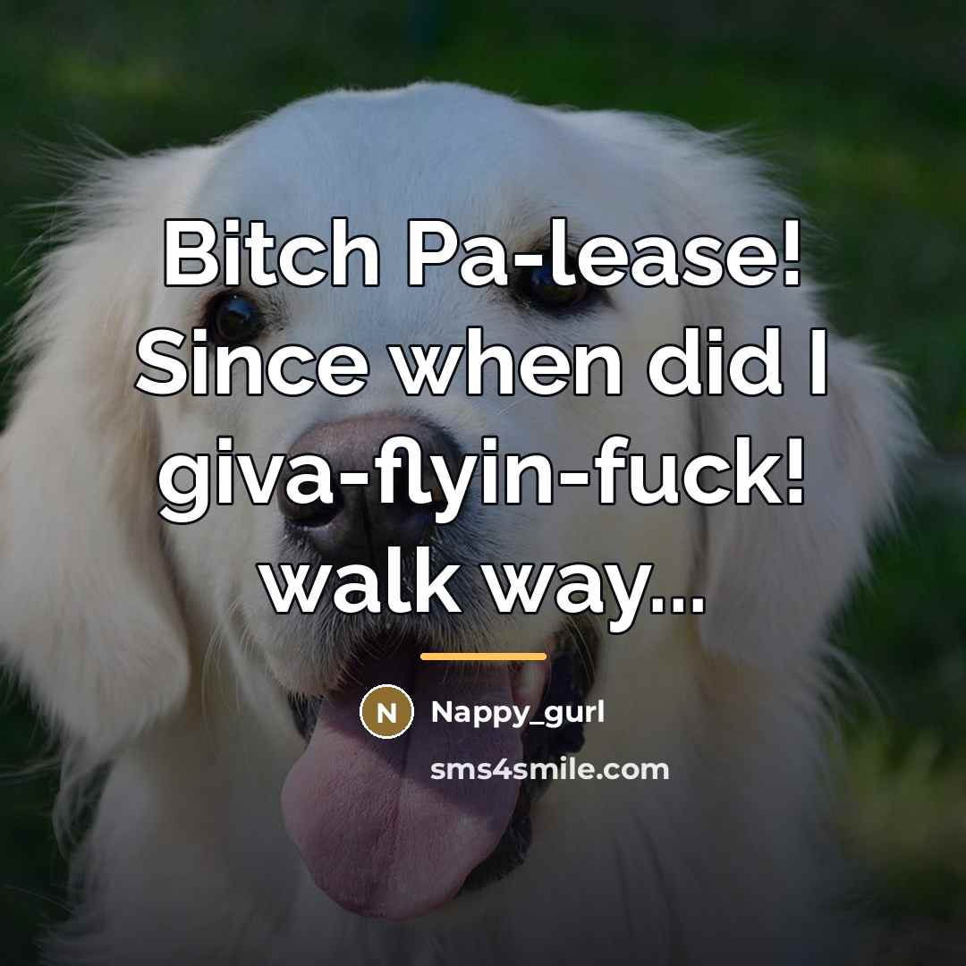 “Bitch Pa-lease! Since when did I giva-flyin-fuck! walk way...…” quote by Nappy_gurl