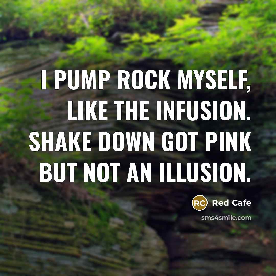 “I pump rock myself, like the infusion. Shake down got…” quote by Red Cafe