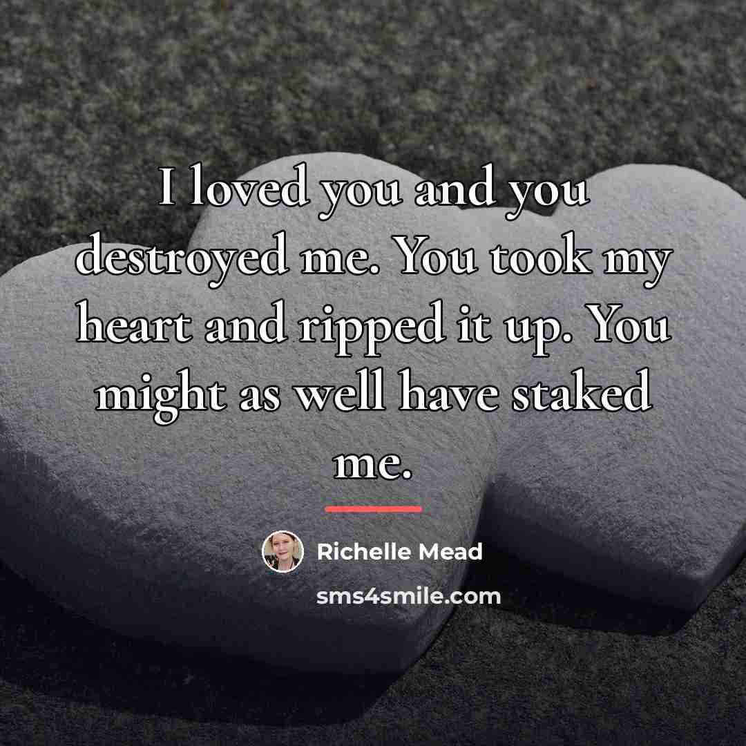 “I loved you and you destroyed me. You took my…” quote by Richelle Mead