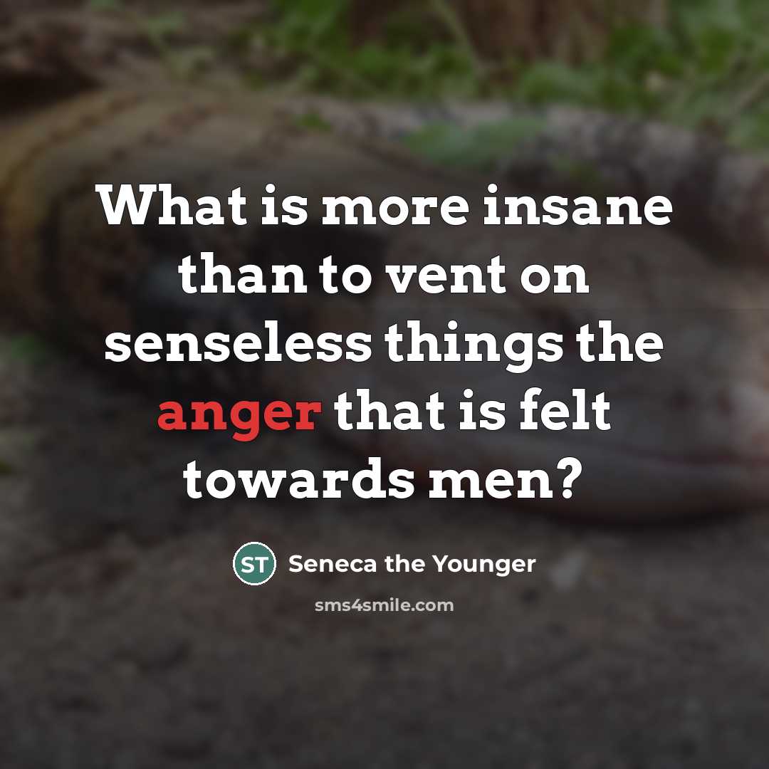 “What is more insane than to vent on senseless things…” quote by Seneca the Younger