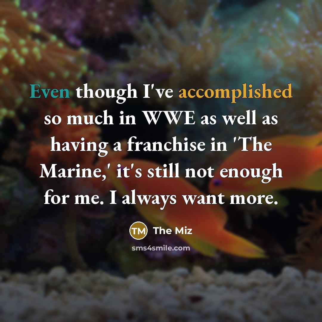 “Even though I've accomplished so much in WWE as well…” quote by The Miz