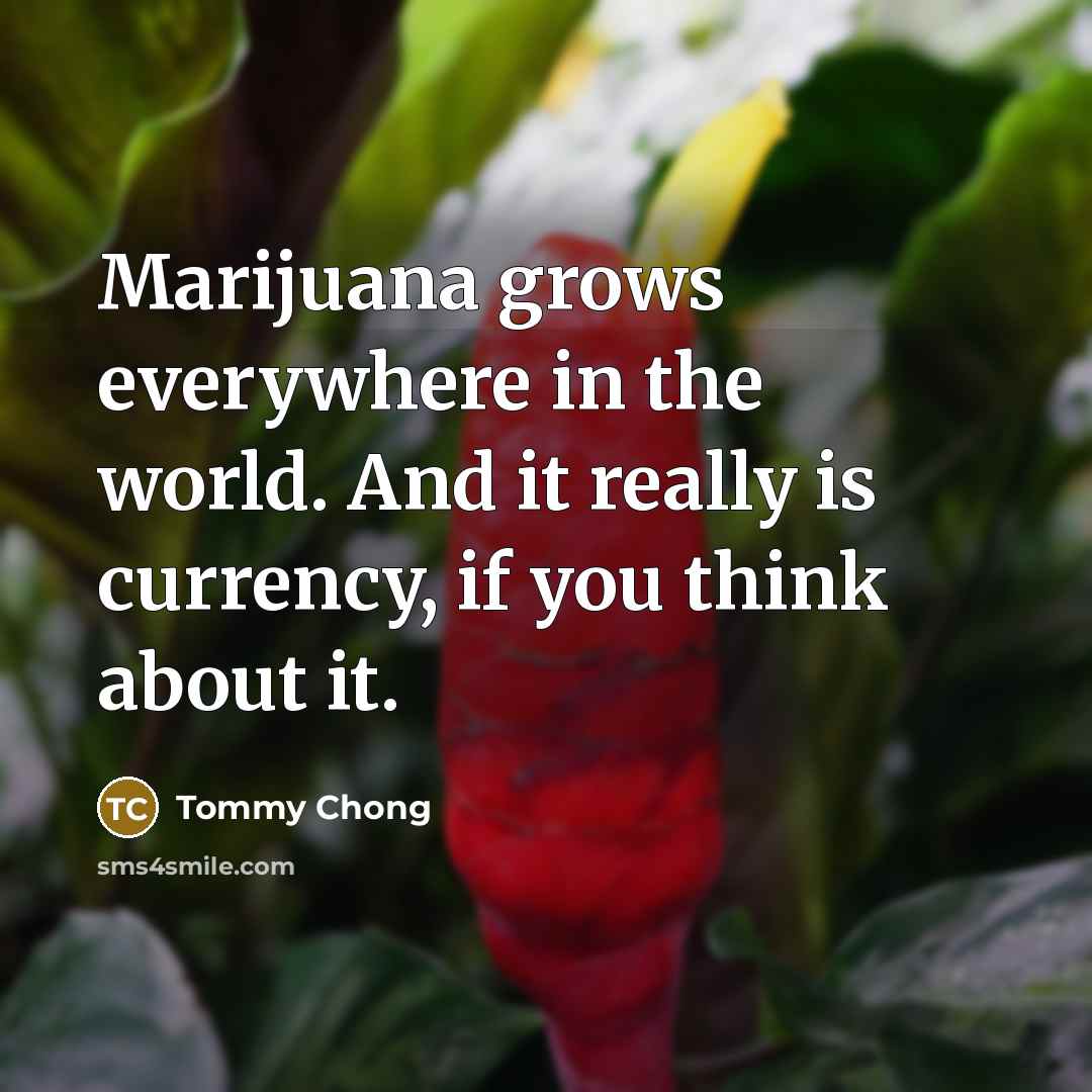 “Marijuana grows everywhere in the world. And it really is…” quote by Tommy Chong